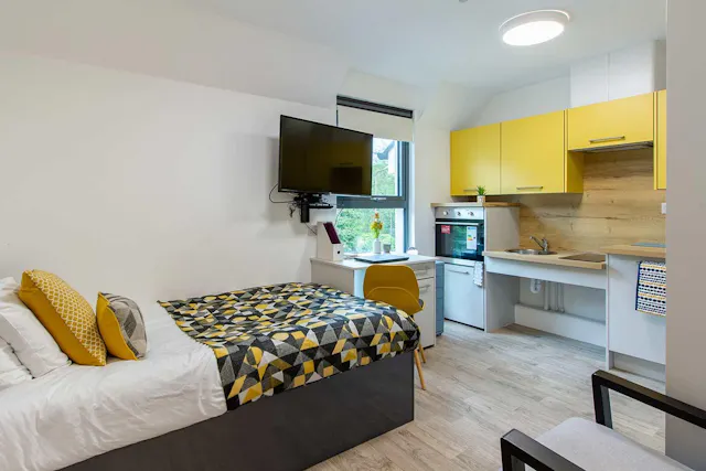 Deluxe Accessible Studio room image 1