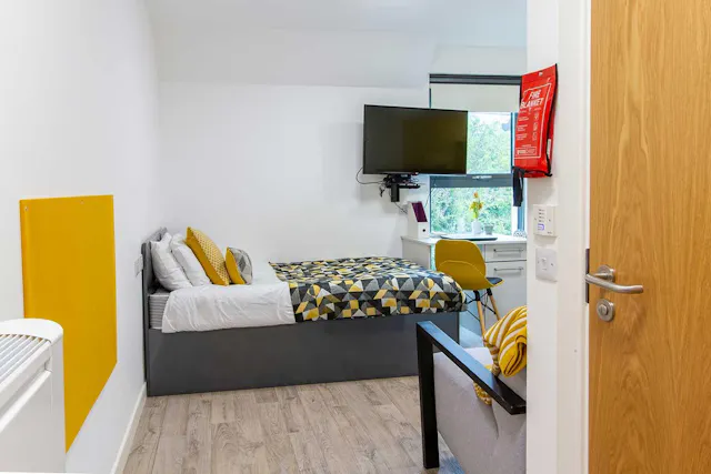 Deluxe Accessible Studio room image 2