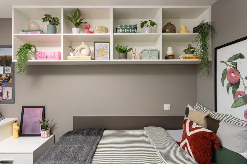 Classic Accessible Studio