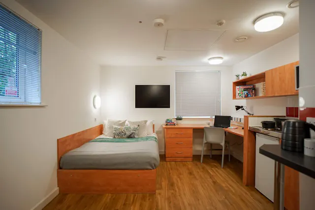 Silver Studio room image 5