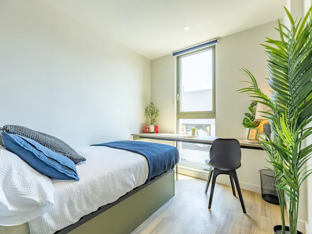 Platinum En Suite room image 2