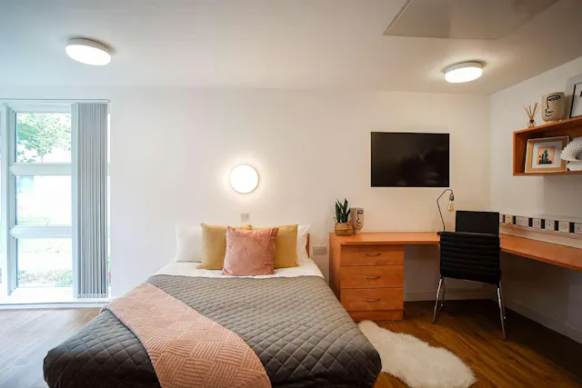Platinum Plus room image 1
