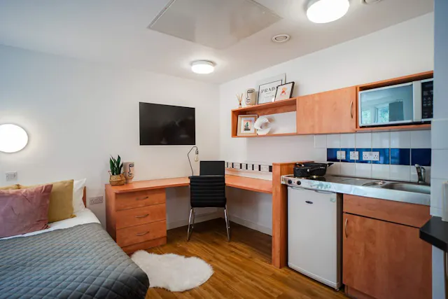 Platinum Plus room image 7