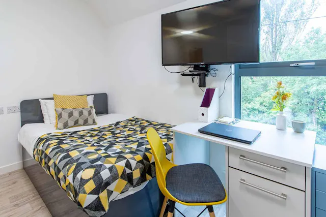 Deluxe Studio room image 2