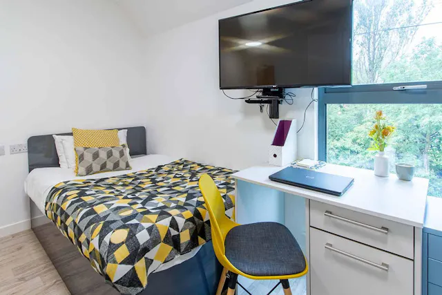 Deluxe Studio room image 2
