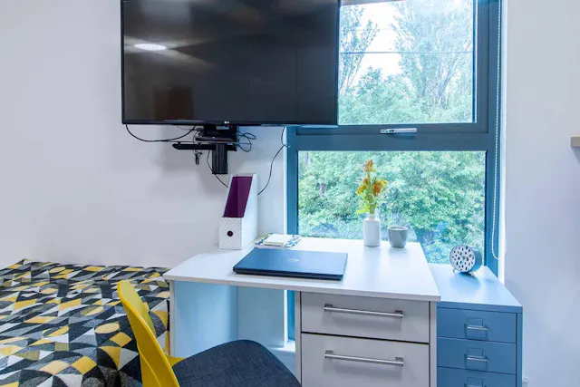 Deluxe Studio room image 3