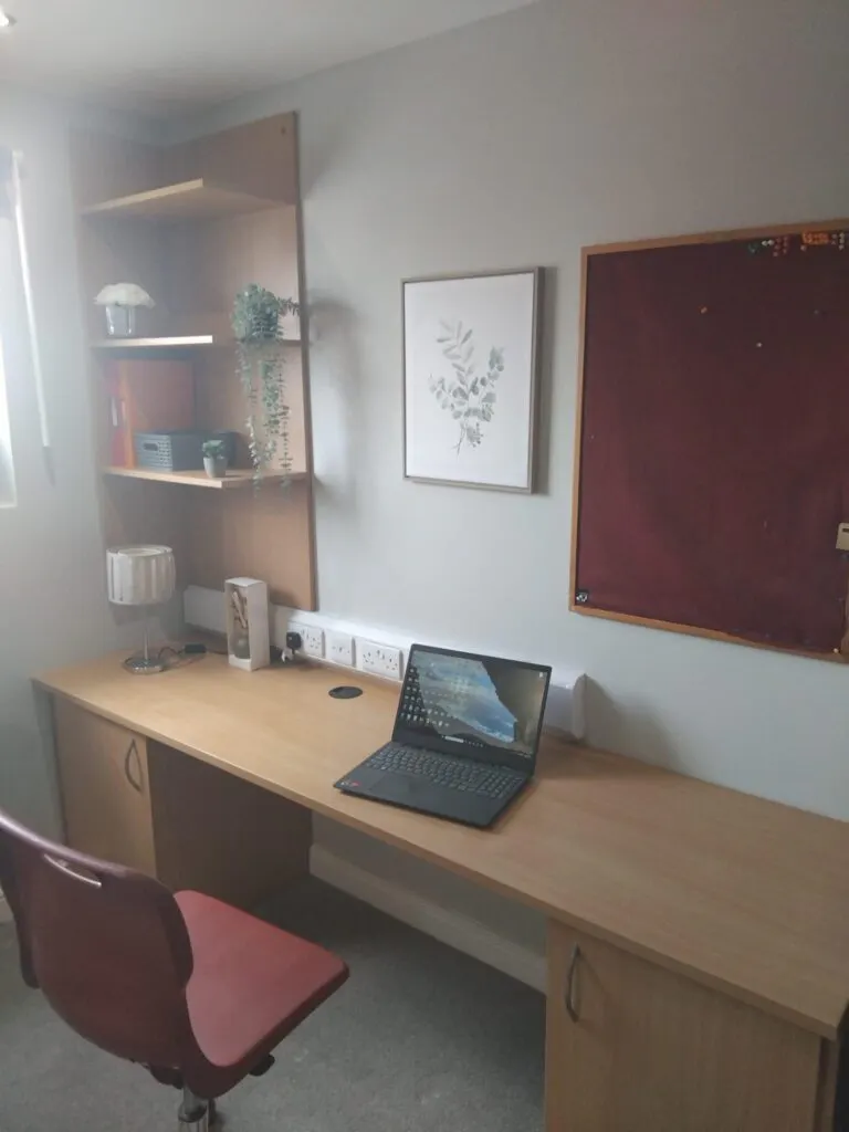 Deluxe Plus Studio