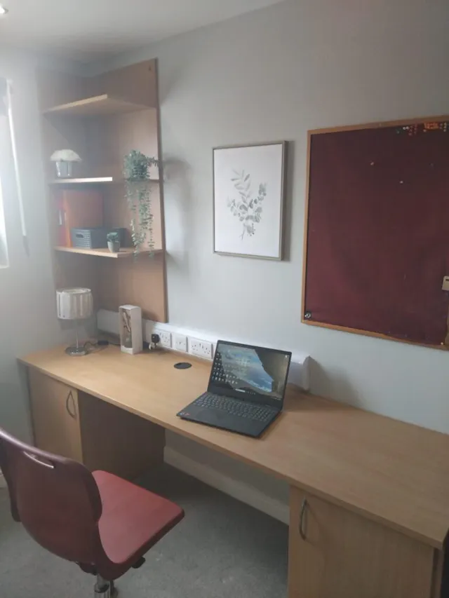 Deluxe Plus Studio room image 2