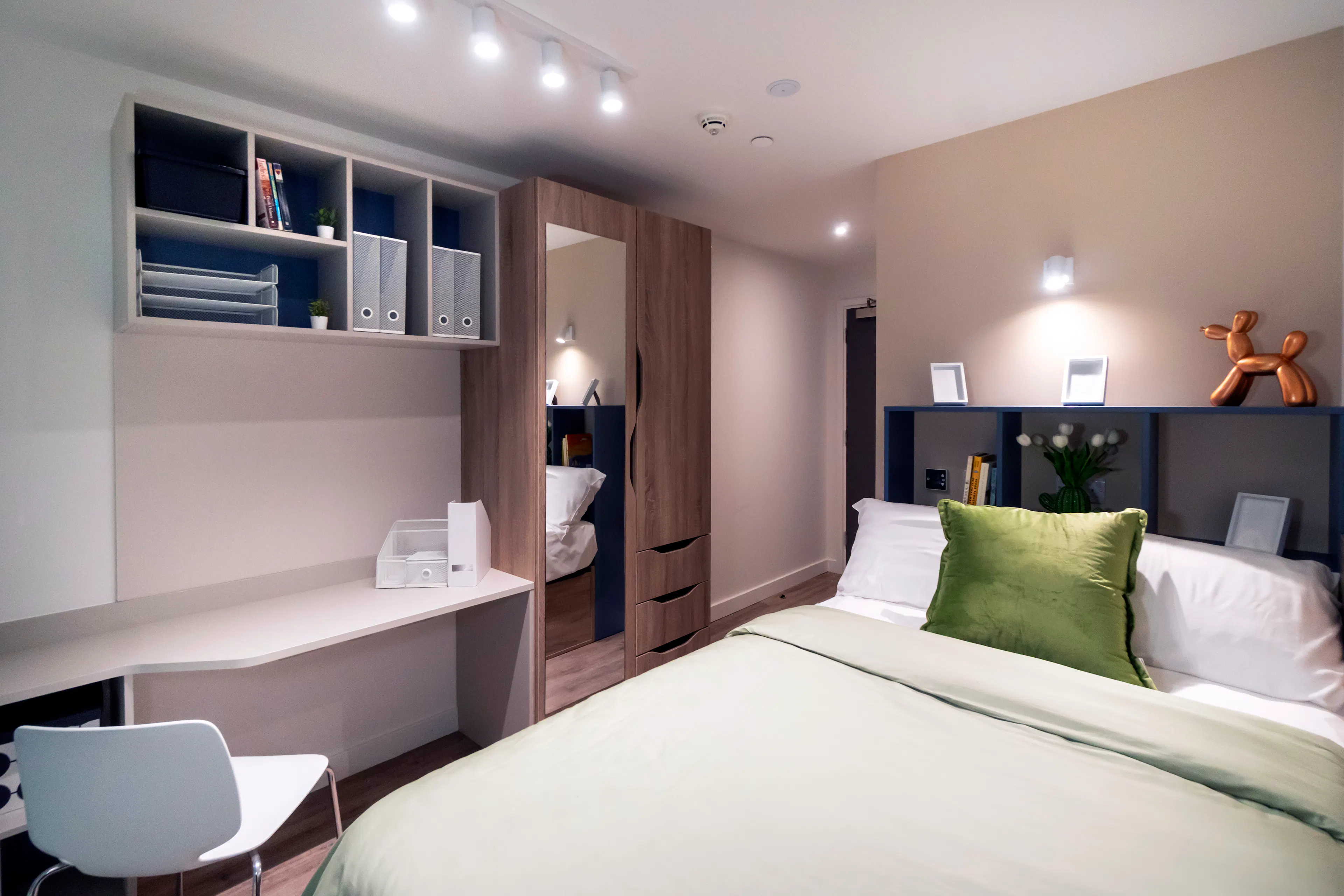 Essential 8 Bed Cluster ROOM 1