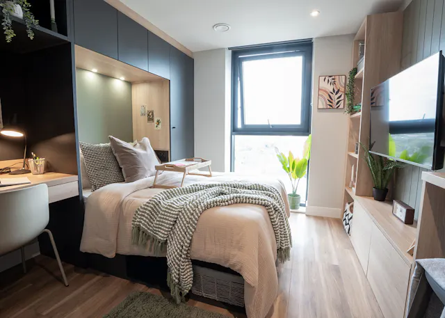 Classic Studio Plus room image 2