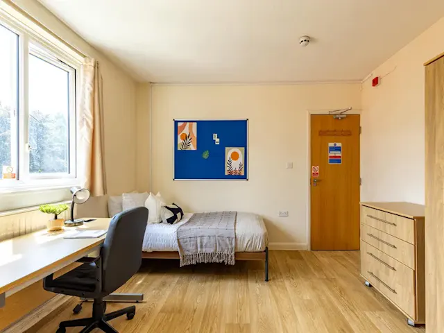 Standard Studio room image 2