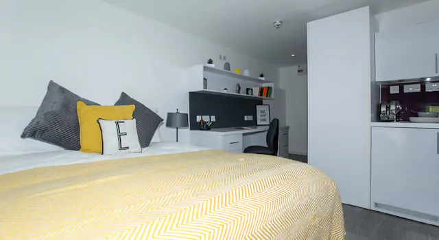 Premium Plus Studio room image 2