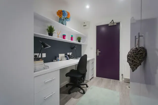 Standard Plus Studio room image 1
