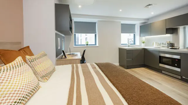 Deluxe Studio room image 2