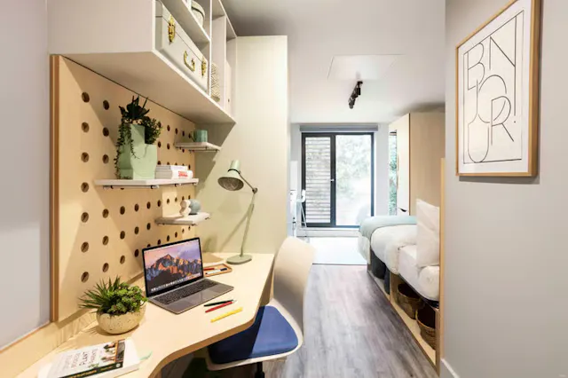Premium Studio room image 2