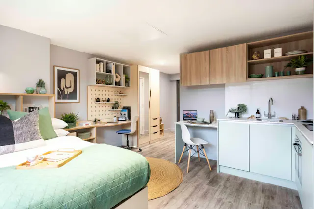 Executive Studio room image 1