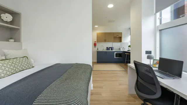 Deluxe Studio room image 2