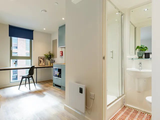 Platinum Studio room image 3