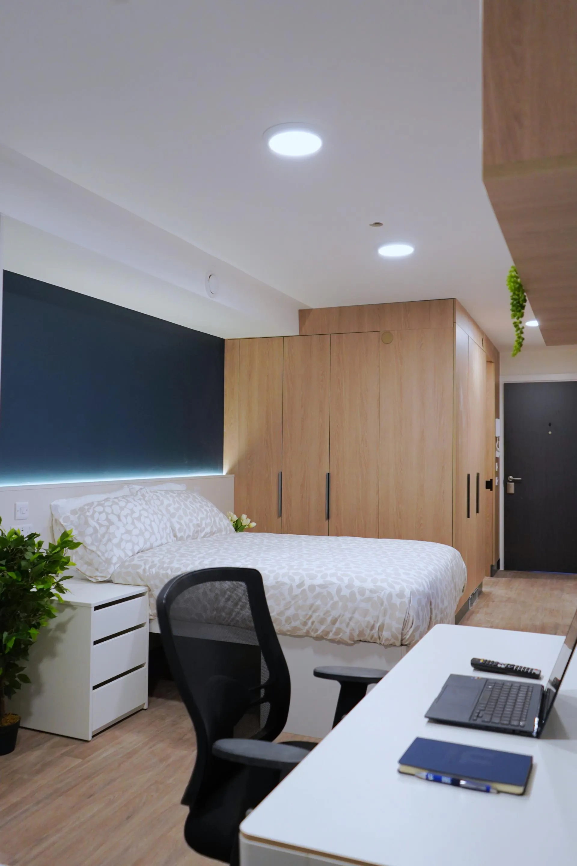 Luxury Plus Studio
