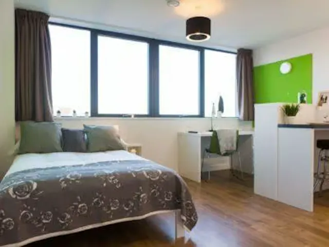 Premium Plus Studio room image 2