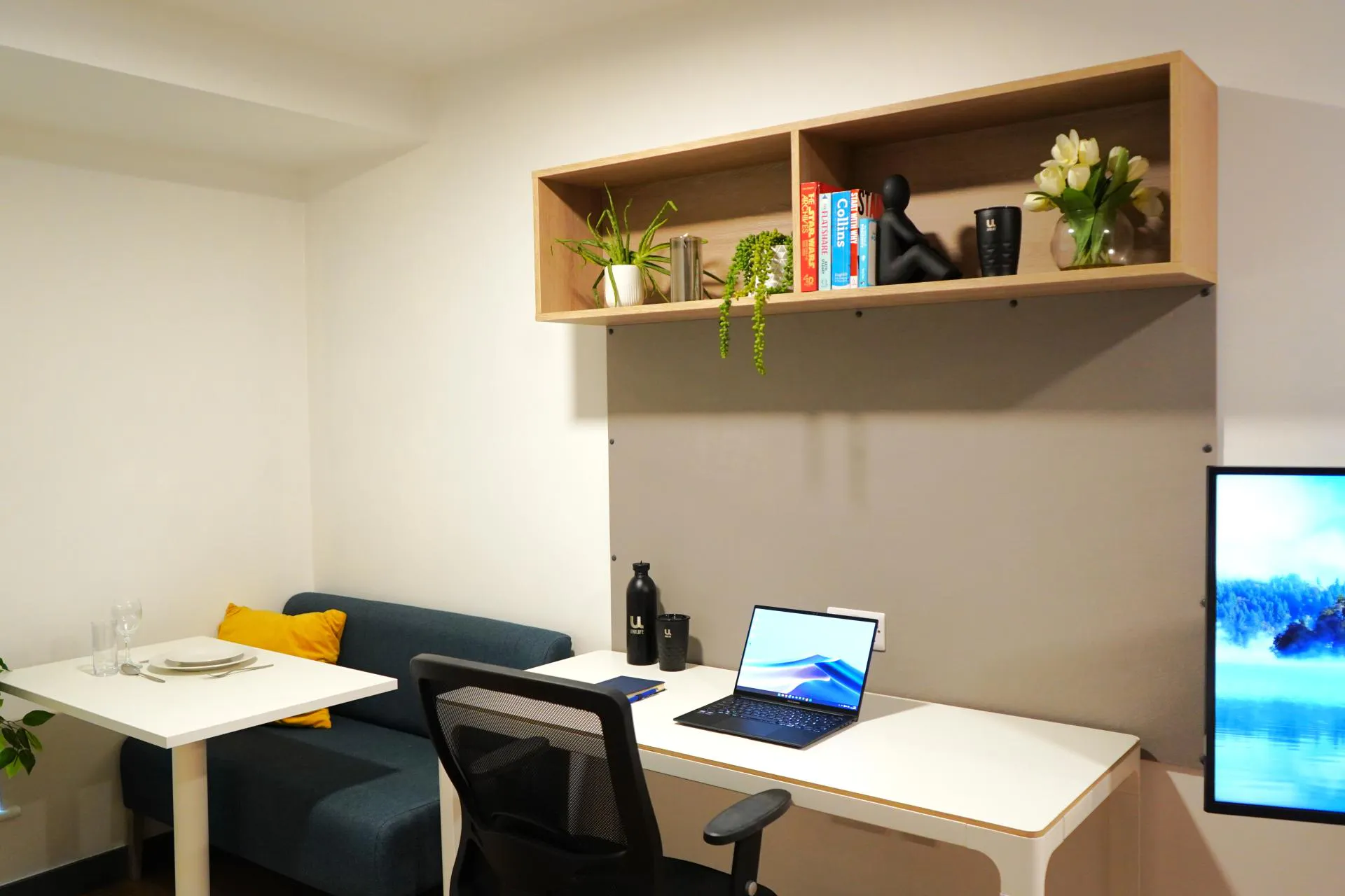 Luxury Studio