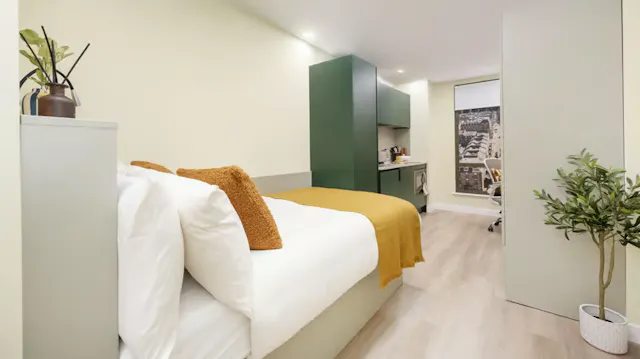 Luxury Penthouse Studio room image 2