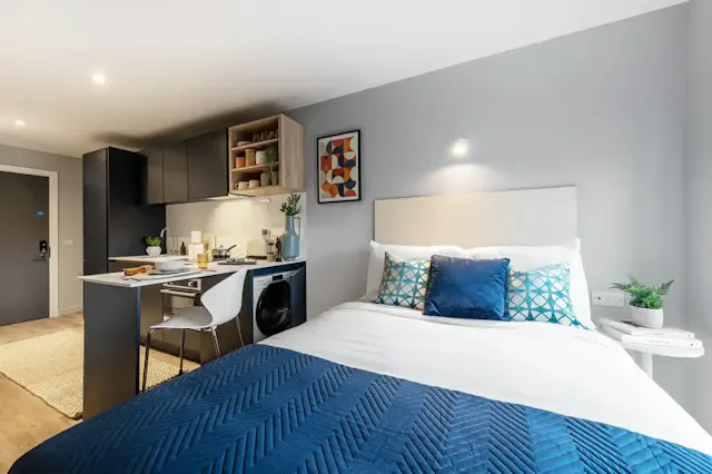 Executive Studio room image 1