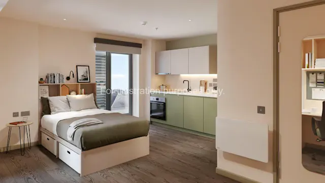 Platinum Plus Studio room image 1