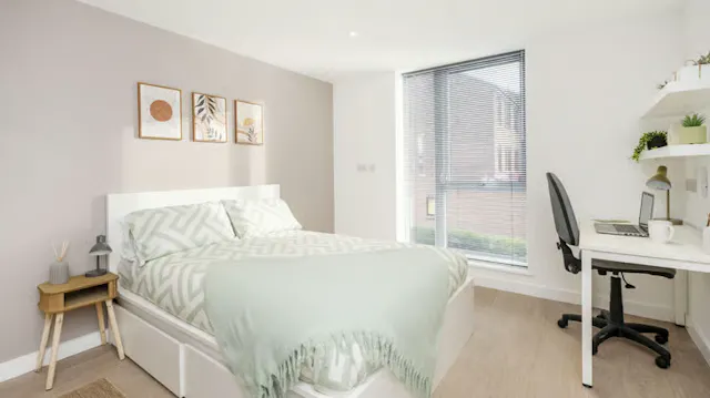 Premium Studio room image 1