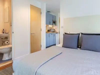 One Bedroom Flat room image 1