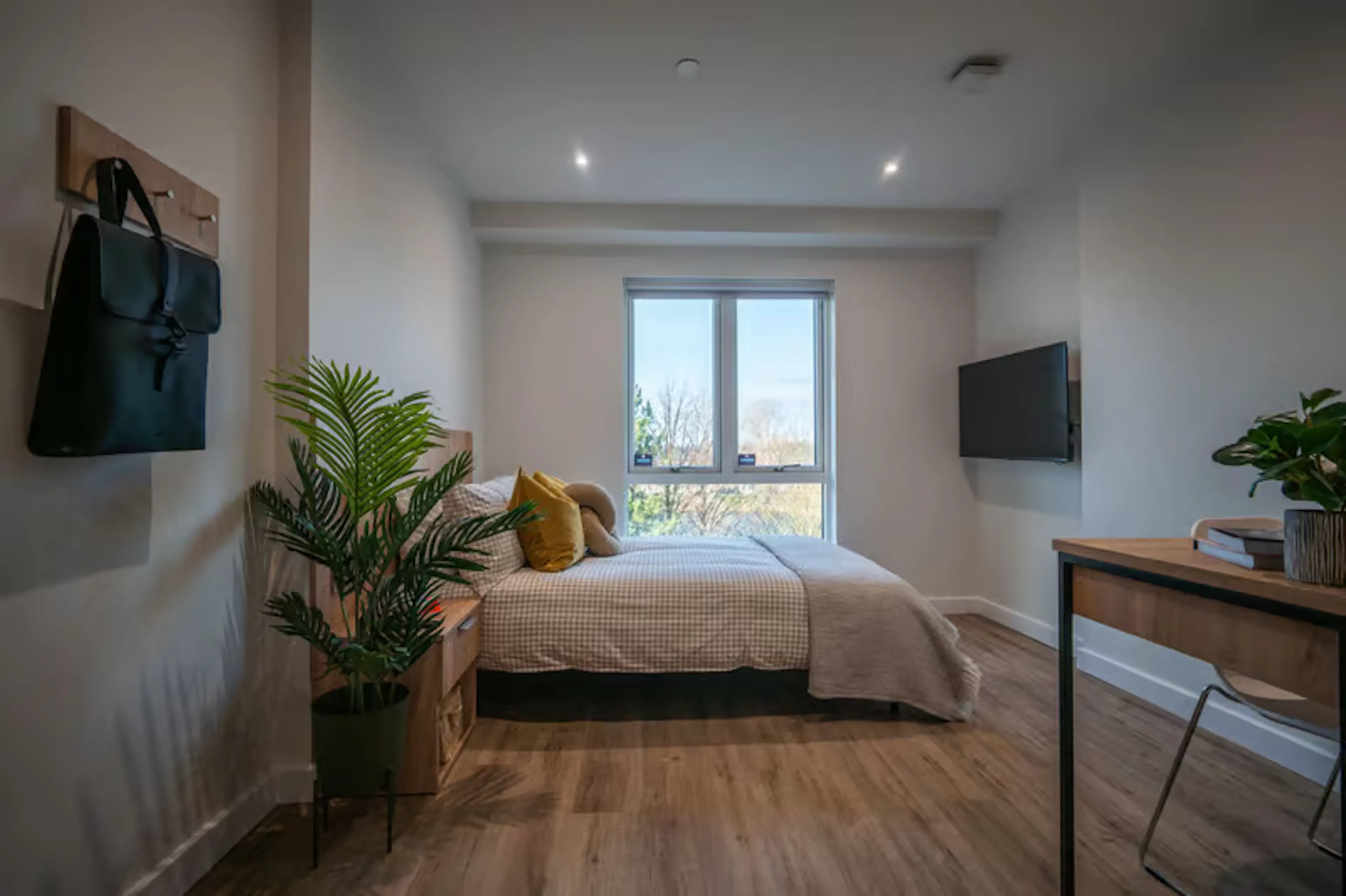 Classic Studio Floor 1-4 ROOM 1