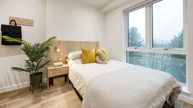 Deluxe Studio room image 1