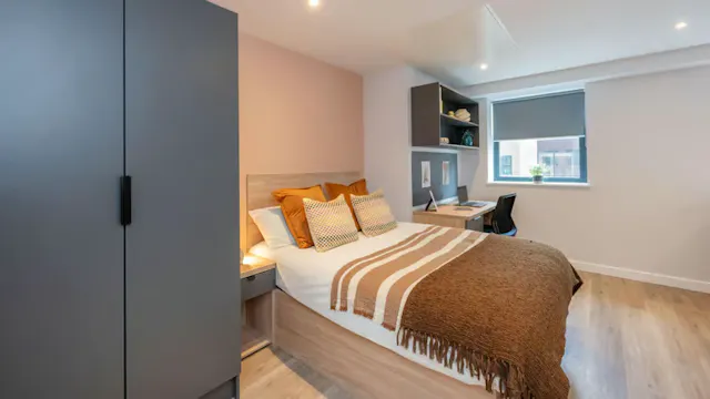 Deluxe Plus Studio room image 1