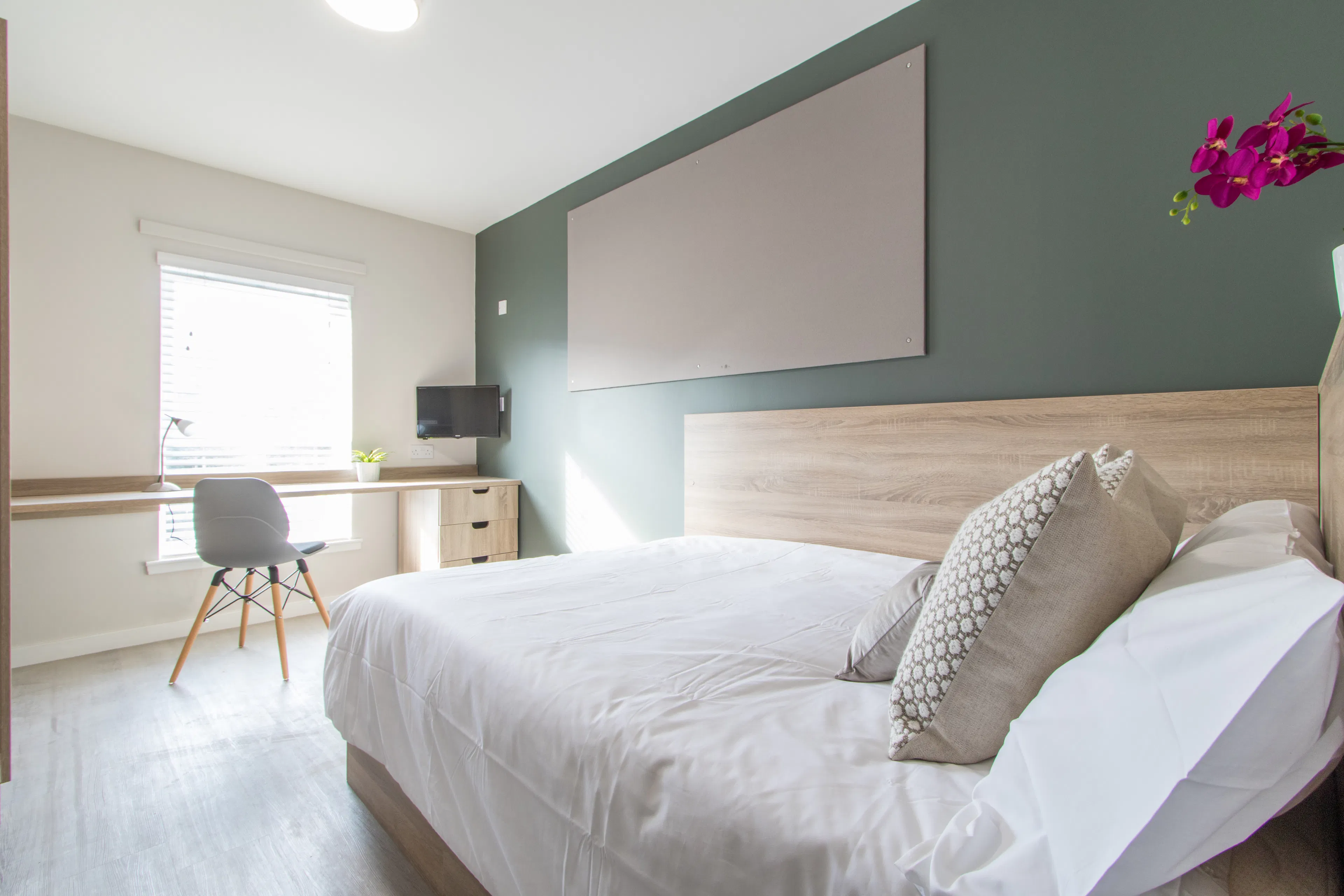 ROOM ROOM 1
