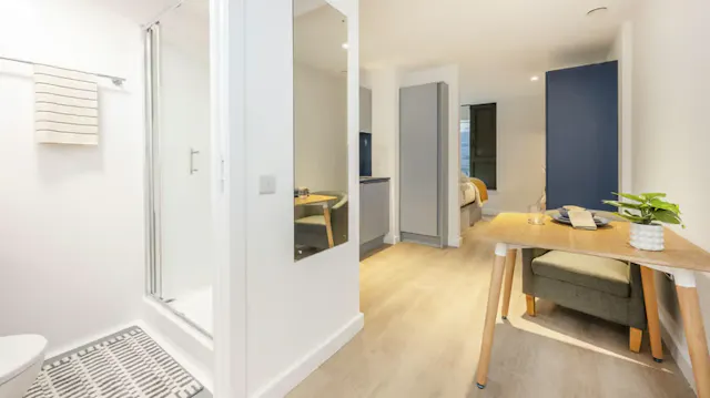Premium Studio room image 2
