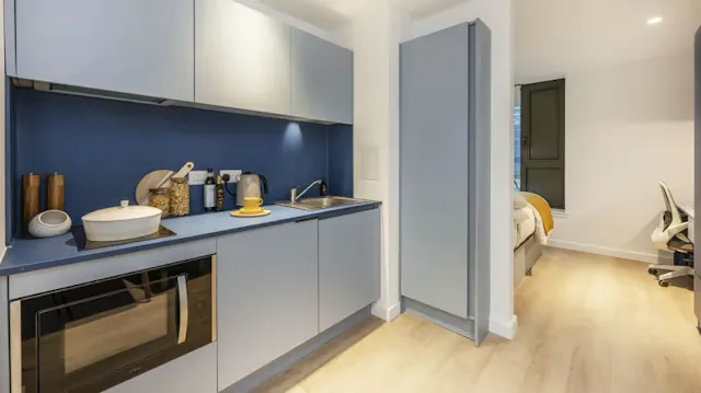 Premium Studio room image 4