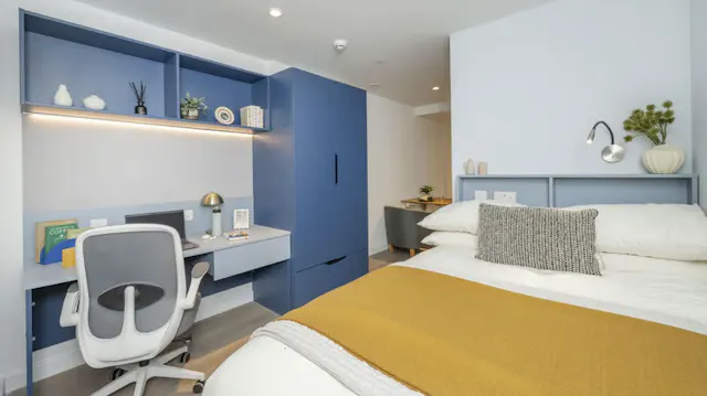 Premium Plus Studio room image 2