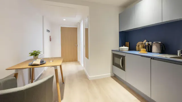 Premium Plus Studio room image 5