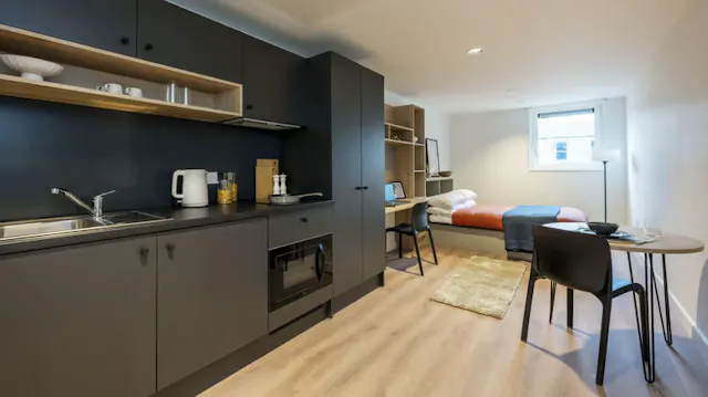 Deluxe Studio room image 5