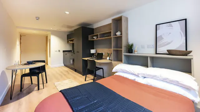Deluxe Studio room image 1