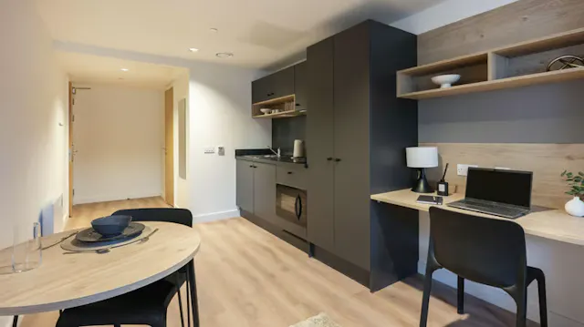 Deluxe Studio room image 2
