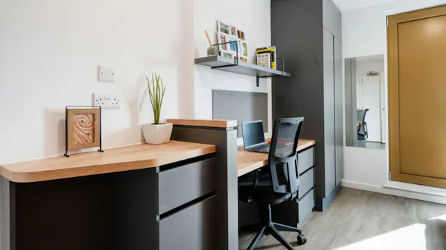 Premium Studio room image 2