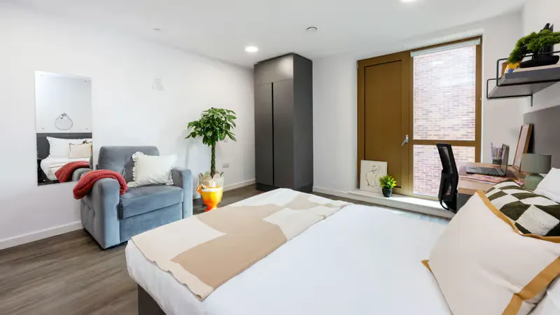 Luxury Studio