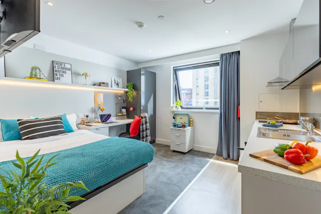 true Accessible Studio room image 1
