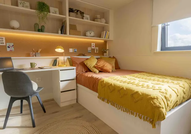 Silver Deluxe Studio room image 1