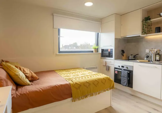 Gold Studio Plus room image 1