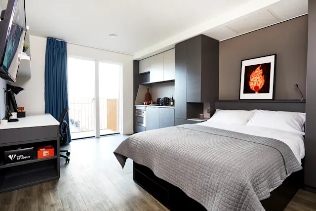 Accessible Room room image 1