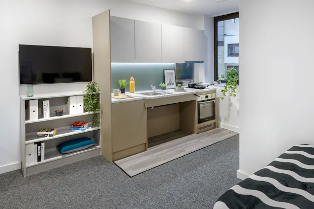 true Accessible Studio room image 2