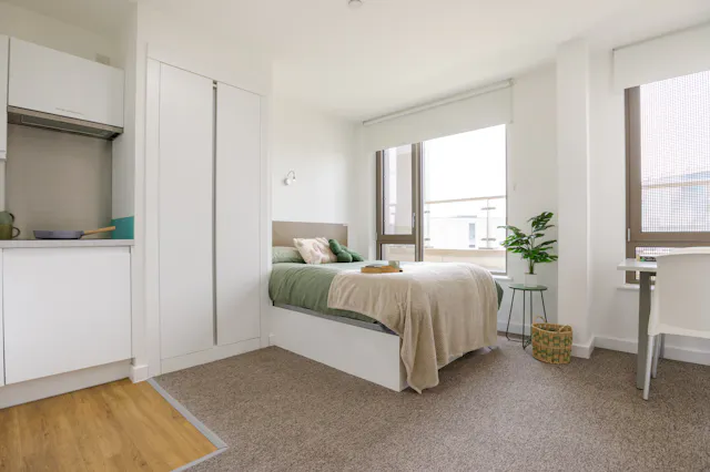 Penthouse room image 2