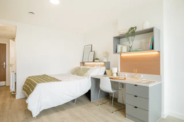 Executive Studio room image 2